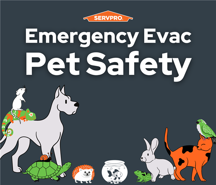 group of animated animals under the words "emergency evac" 